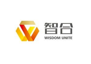 安徽智合商務(wù)咨詢 助力企業(yè)決策的商務(wù)信息咨詢服務(wù)